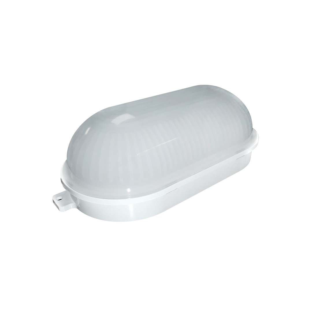 Led Tortuga